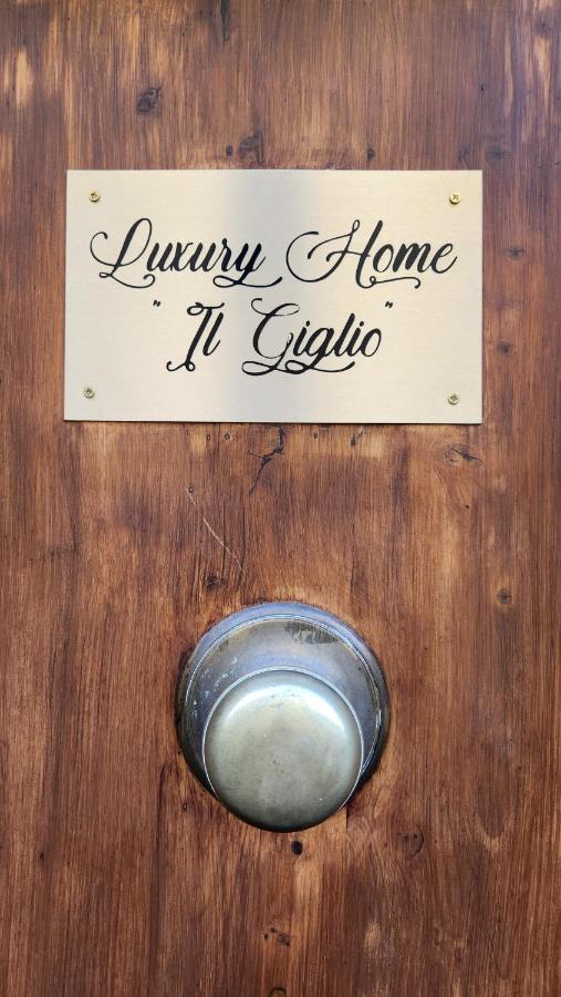 Luxury Il Giglio Apartamento Florencia